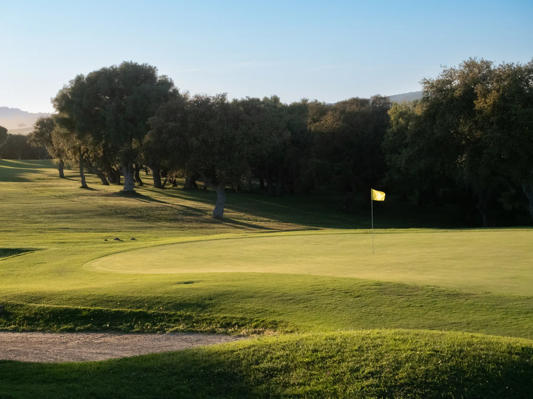 Nearby golf greens at golden hour